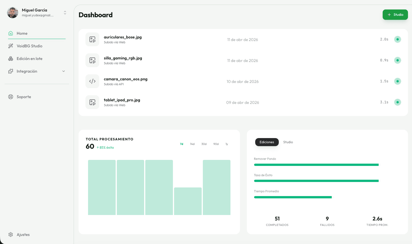 VoidBG API Dashboard